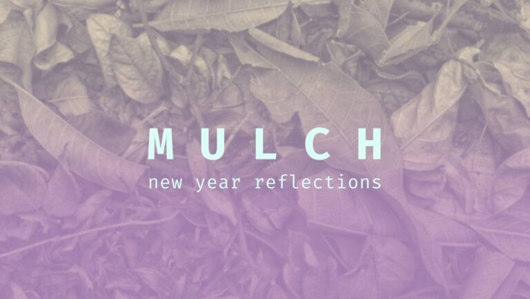 MULCH Gathering Materials from sword fern collective